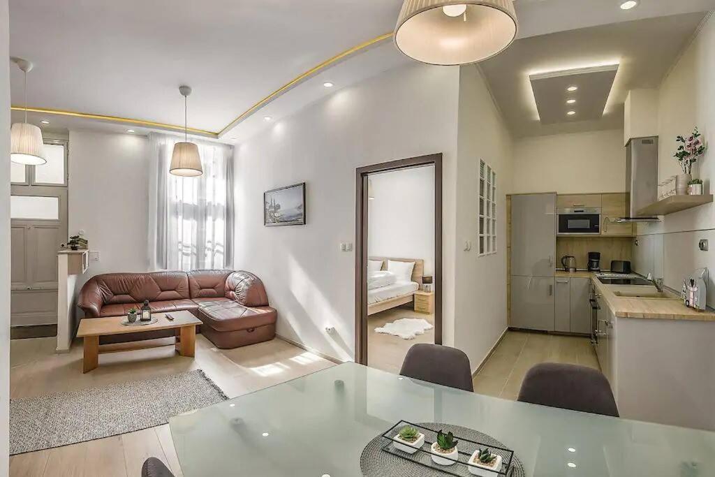 Szechenyi Renovated 2Br At Danube River Budapest Kültér fotó